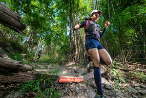 BIB: 
                            <button type="button" onclick="openModal(19390054)" class="btn btn-primary btn-sm float-right btn-popup" data-toggle="modal" data-target=".modal-high-quality">
                        <i class="fas fa-shopping-cart"></i> Add to Cart
                    </button>
                                            <button type="button" onclick="isThisMe(19390054, true)" class="btn btn-success btn-sm float-right btn-popup btn-isme hidden" data-toggle="tooltip" data-placement="bottom" title="นี่คือรูปของคุณใช่ไหม คลิกที่นี่เพื่อเอาเข้าอัลบั้ม">
                        <i class="fas fa-plus"></i> Add to album
                    </button>
                    <button type="button" onclick="isThisMe(19390054, false)" class="btn btn-warning btn-sm float-right btn-popup btn-isnotme hidden">
                        <i class="fas fa-ban"></i> Remove from album
                    </button>